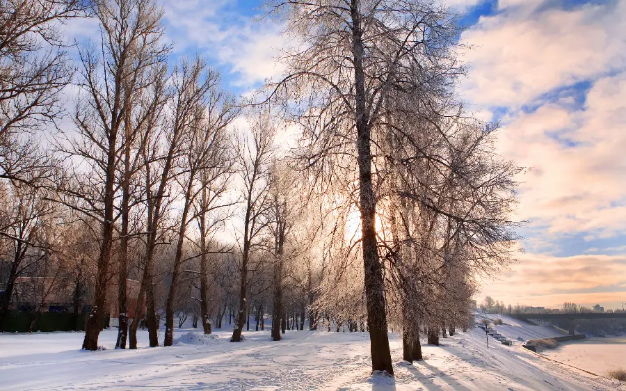 Stylish background of a sunny day with a snow-covered ground for winter