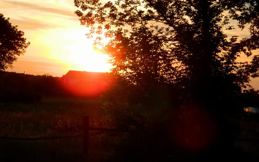 Beautiful sunset landscape image with the highest quality of trees