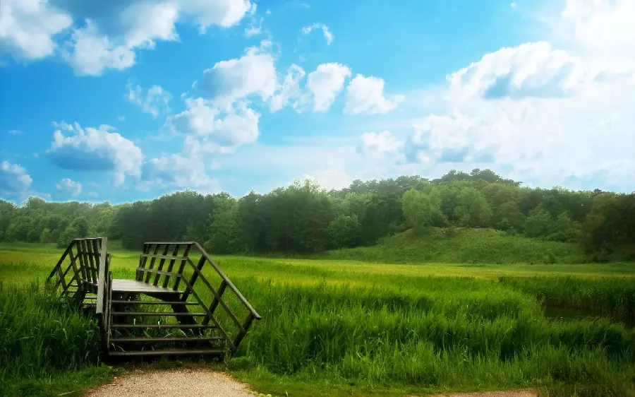 Download background of a beautiful wooden bridge in the heart of green summer nature under a blue sky