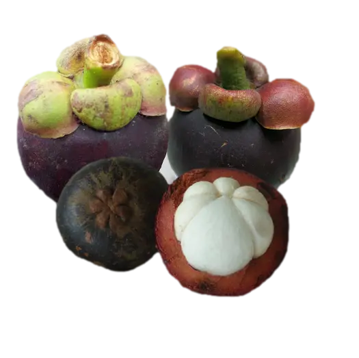 New Free Cut Out Targil Fruit Inside and Outside Image 