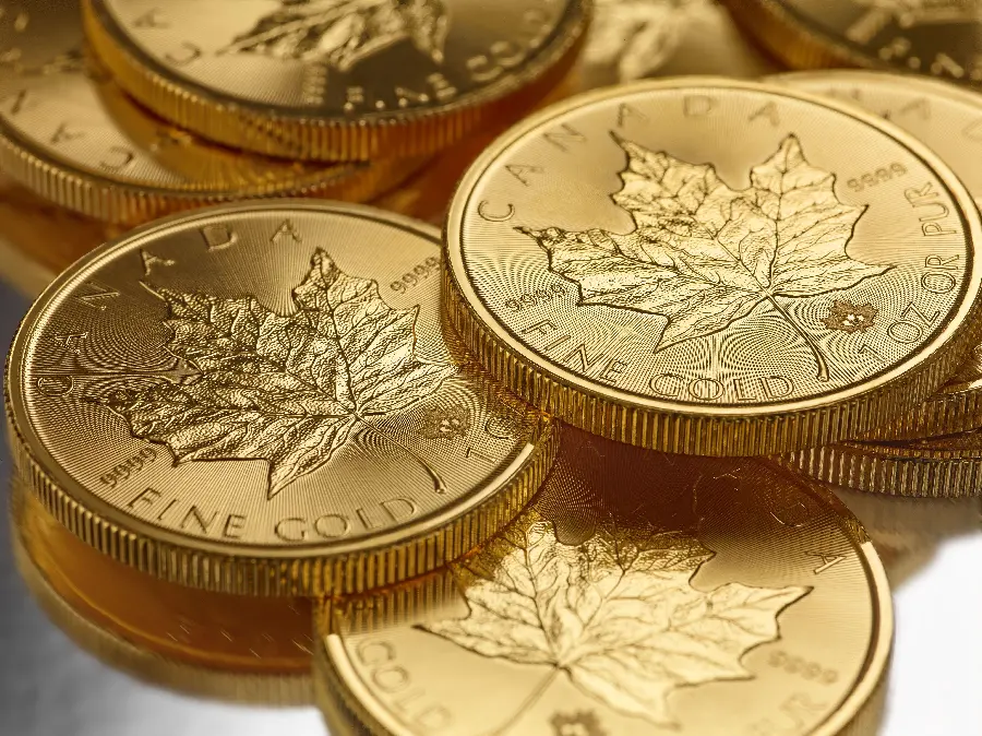 Image of gold coins with a simple leaf pattern on a white background 