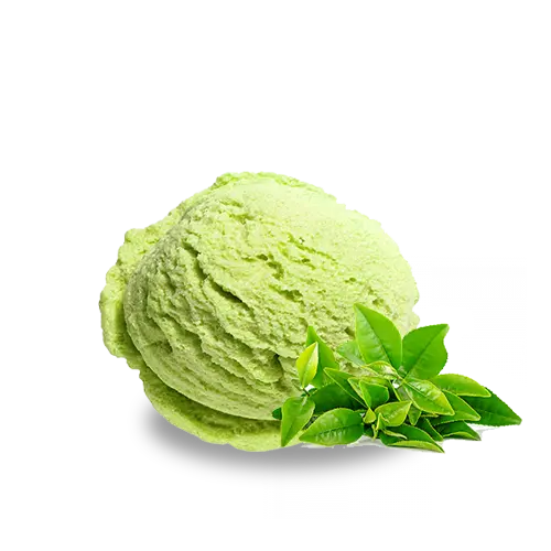 Highest Quality Mint Ice Cream Scoop Photo