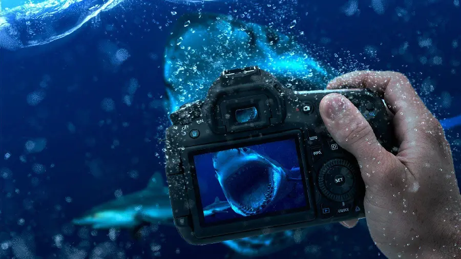 Download an image of an underwater camera, suitable for screen and profile photos