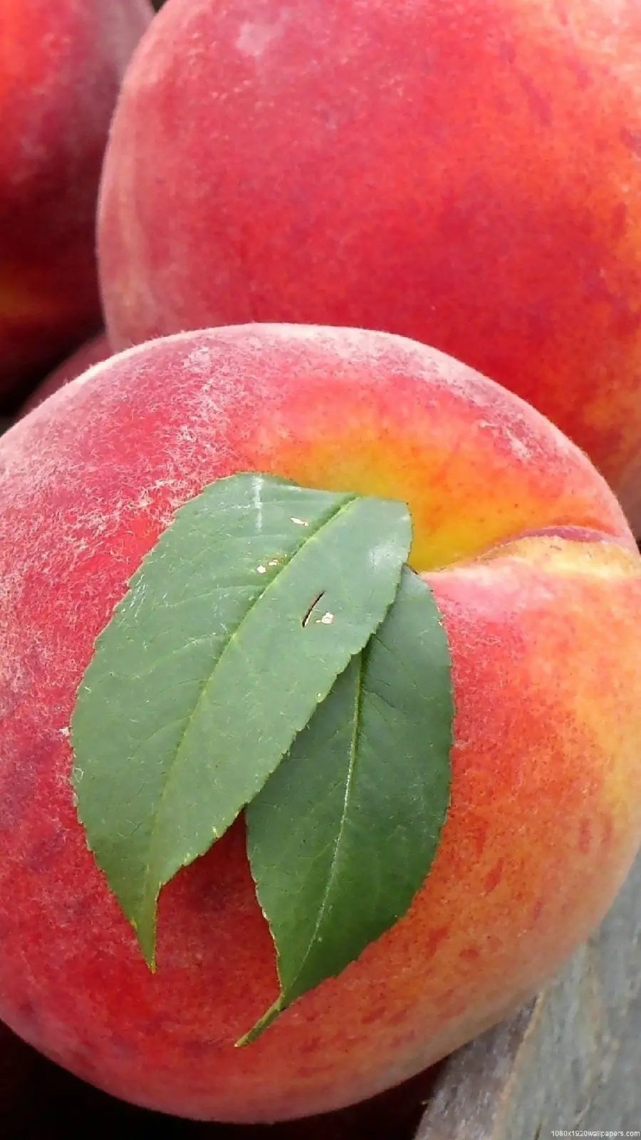Latest close-up photo of sweet and high-quality peach fruit in 5k quality