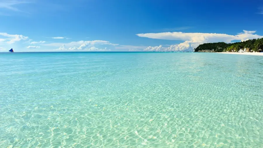 Background photo of a shallow blue-green lake next to an island of trees