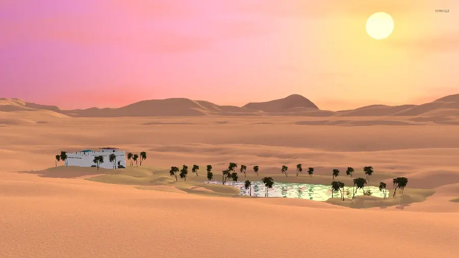 The background of the magnificent white castle next to the water fountain and desert palm trees