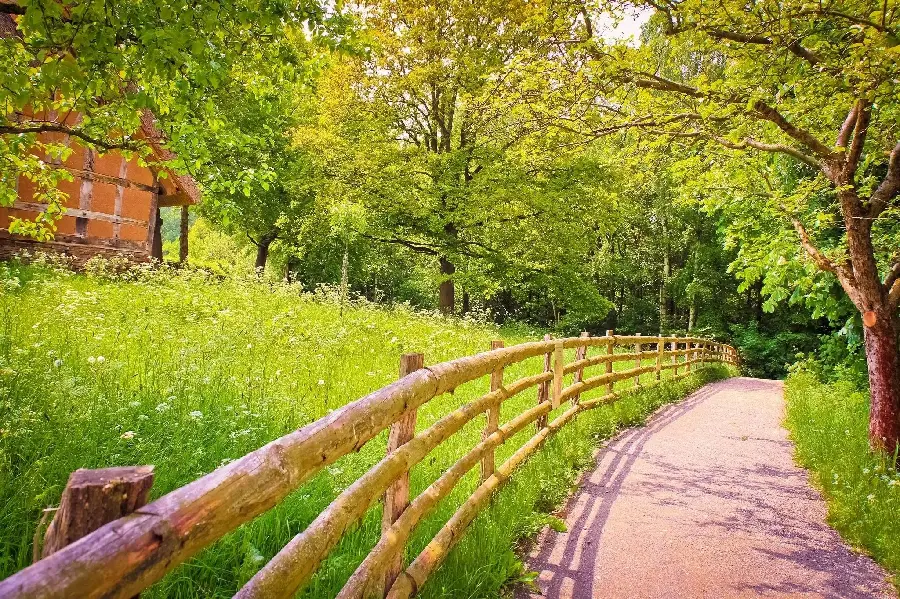 Free and beautiful girly summer profile with a photo of a forest path and a wooden fence