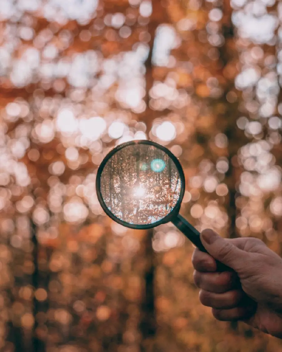  Interesting and beautiful image of a magnifying glass in front of autumn trees 