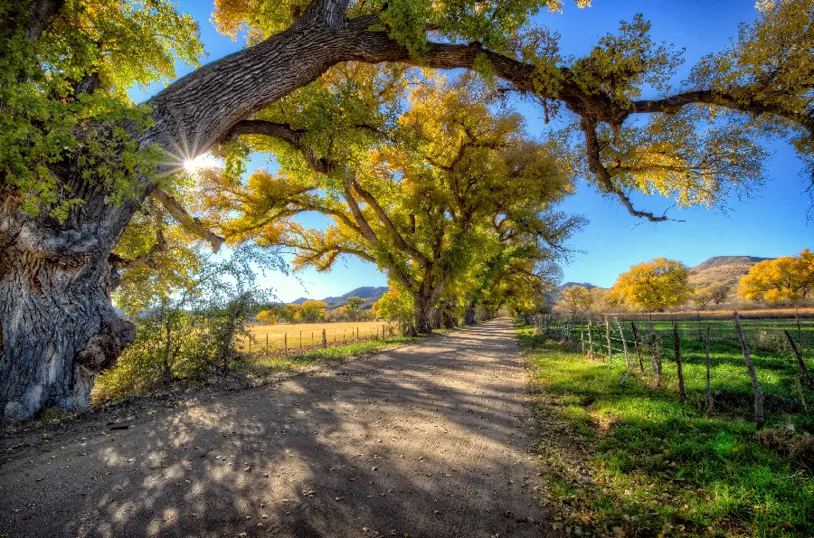 Download graphic photo of autumn nature for background and printing of boards 