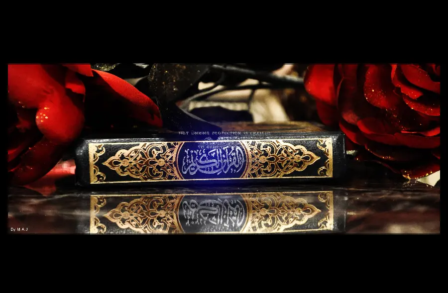 A very beautiful wallpaper of red roses next to the Holy Quran 