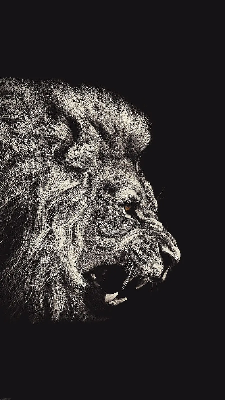 New boyish wallpaper of the lion king of animals with special Photoshop effects for the iPhone 15