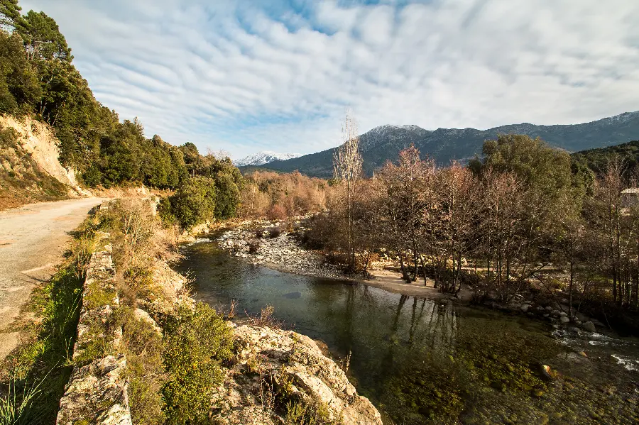 Incredibly beautiful background of a dirt road by the river 