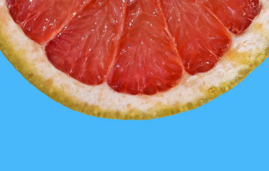 Grapefruit Stock Photo Free High Quality