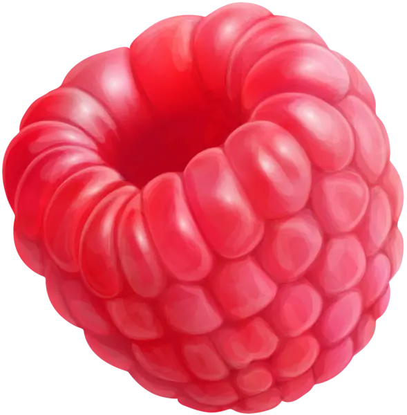 The Highest Quality Real Red Raspberry PNG Image Without Background 