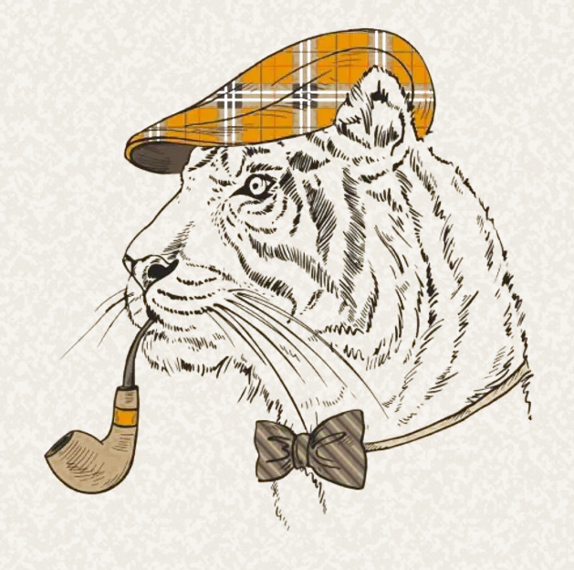 Download high-quality image of a tiger with a stupid hat PNG PNG free