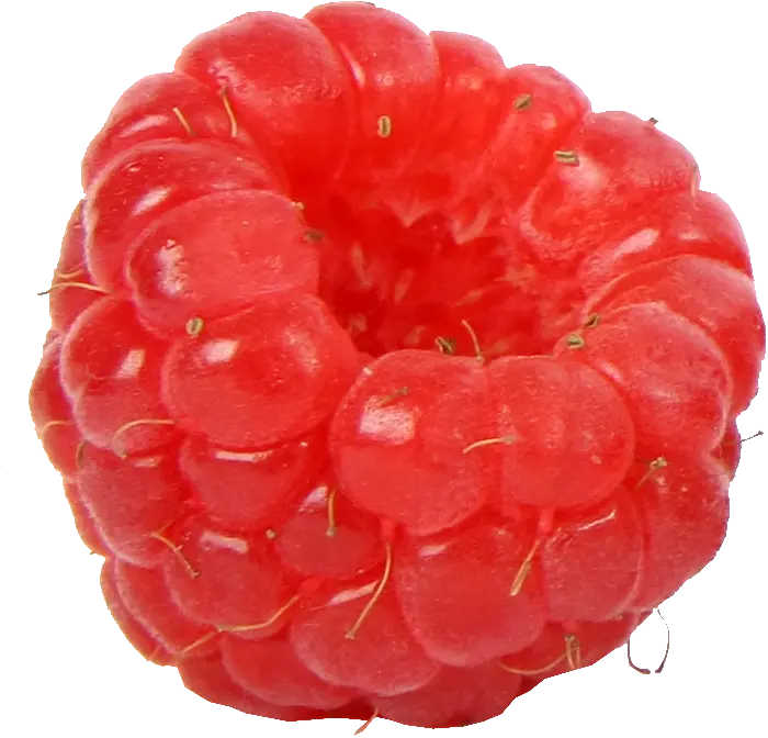 Free and Full HD Download of a Single Red Raspberry Image Without Leaves 