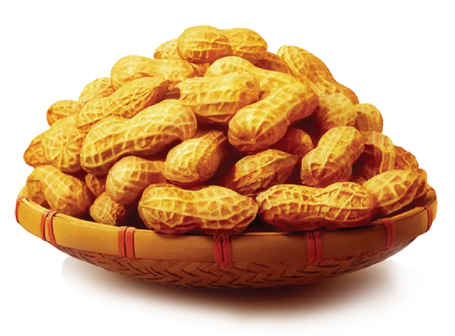 The most popular png photo of peanuts with pod and skin