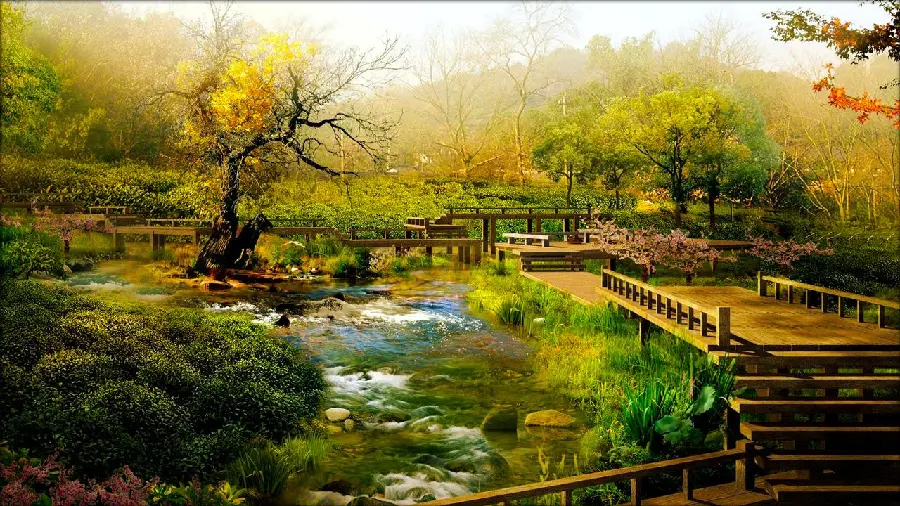 Eye-catching Zen painting photo Nature suitable for poster and painting printing