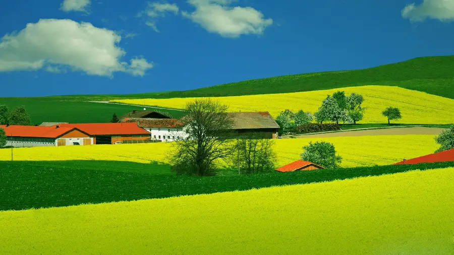Download an eye-catching summer landscape photo with green grass reminiscent of a masterpiece of creation