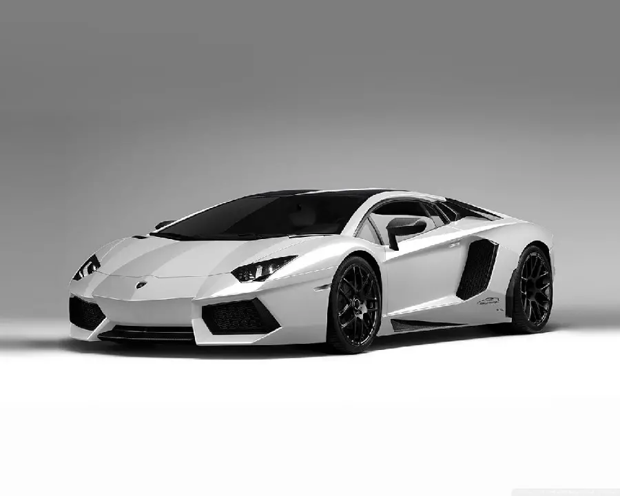 White Italian Lamborghini Wallpaper with Gray Background