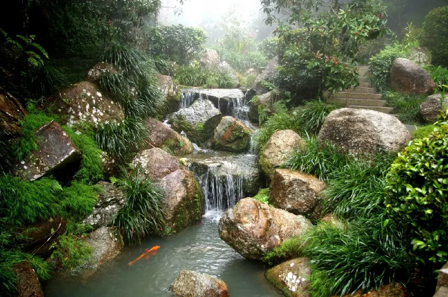 Wallpaper of soulful and delightful landscapes of Zen nature suitable for printing 