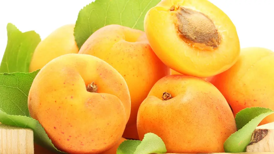 Amazing background of beautiful apricots with brown core