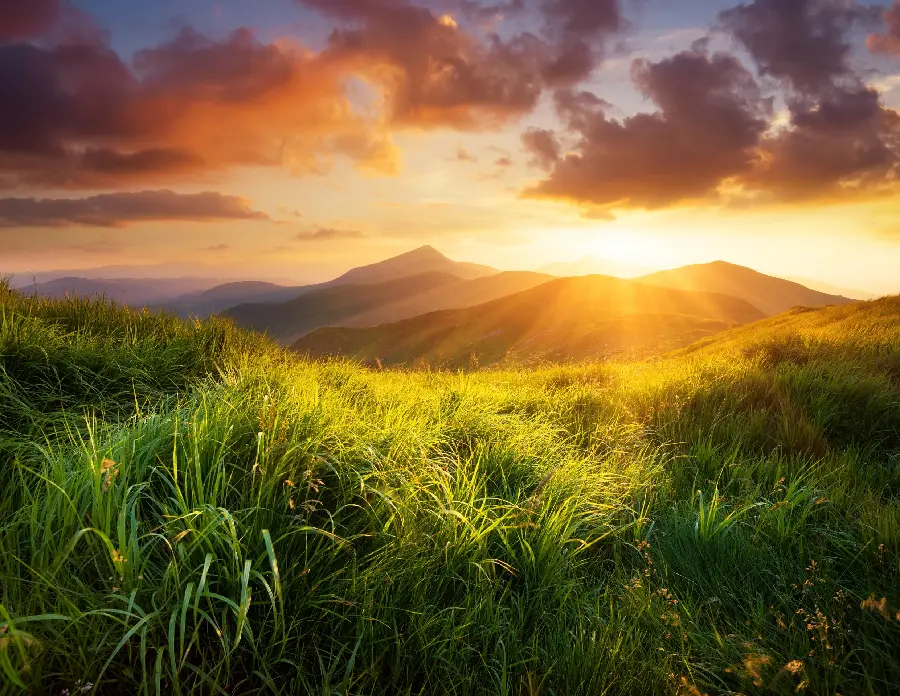 Background view of a lush plain during a lovely sunset