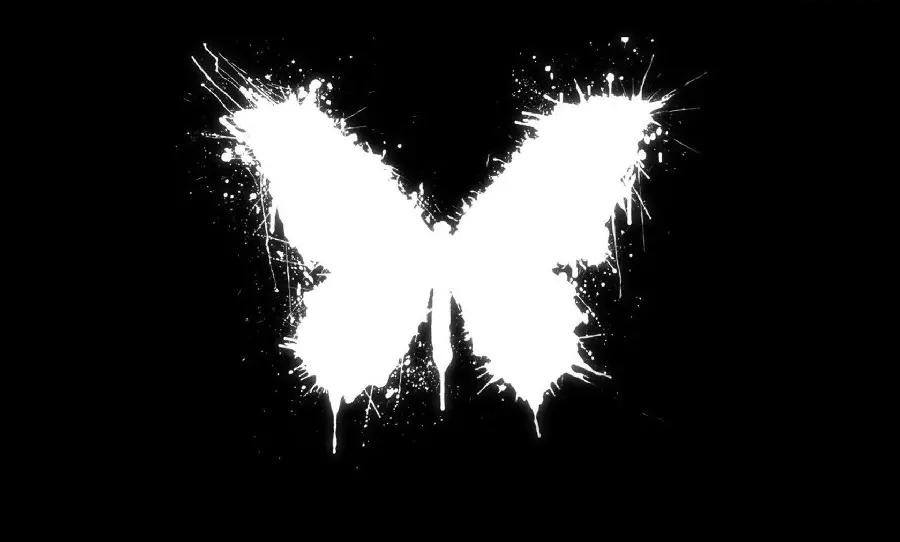 Amazing and incredibly spectacular background of a black and white butterfly 