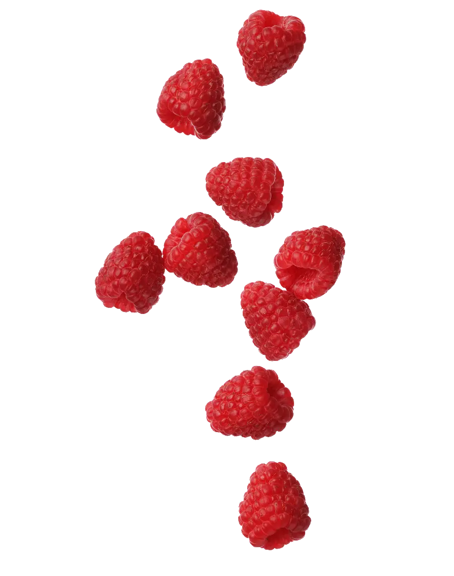 Simple image of delicious red raspberries cut out 