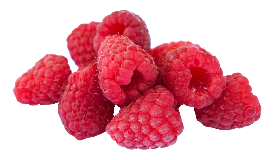 High Quality Cropped Red Raspberry Image Without Background