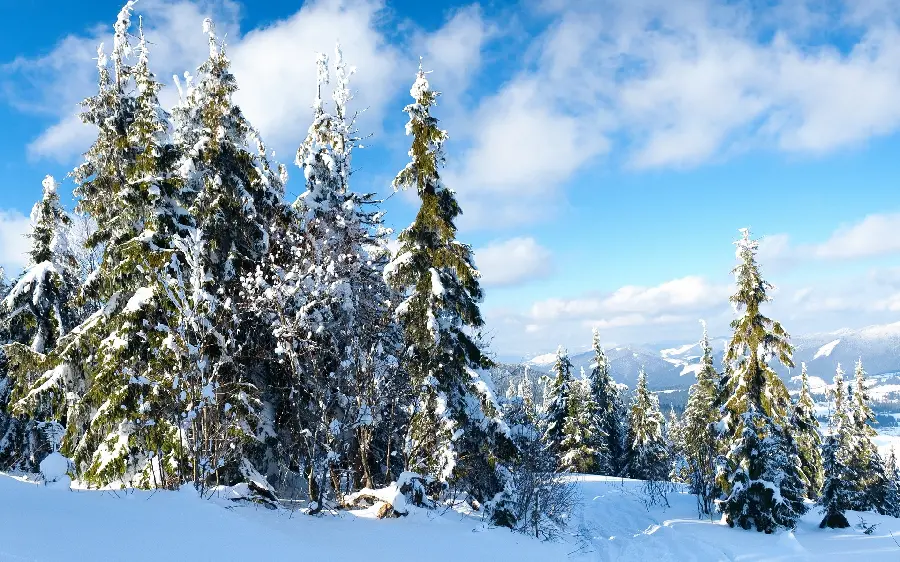 Download winter and snow background photo for laptop and desktop