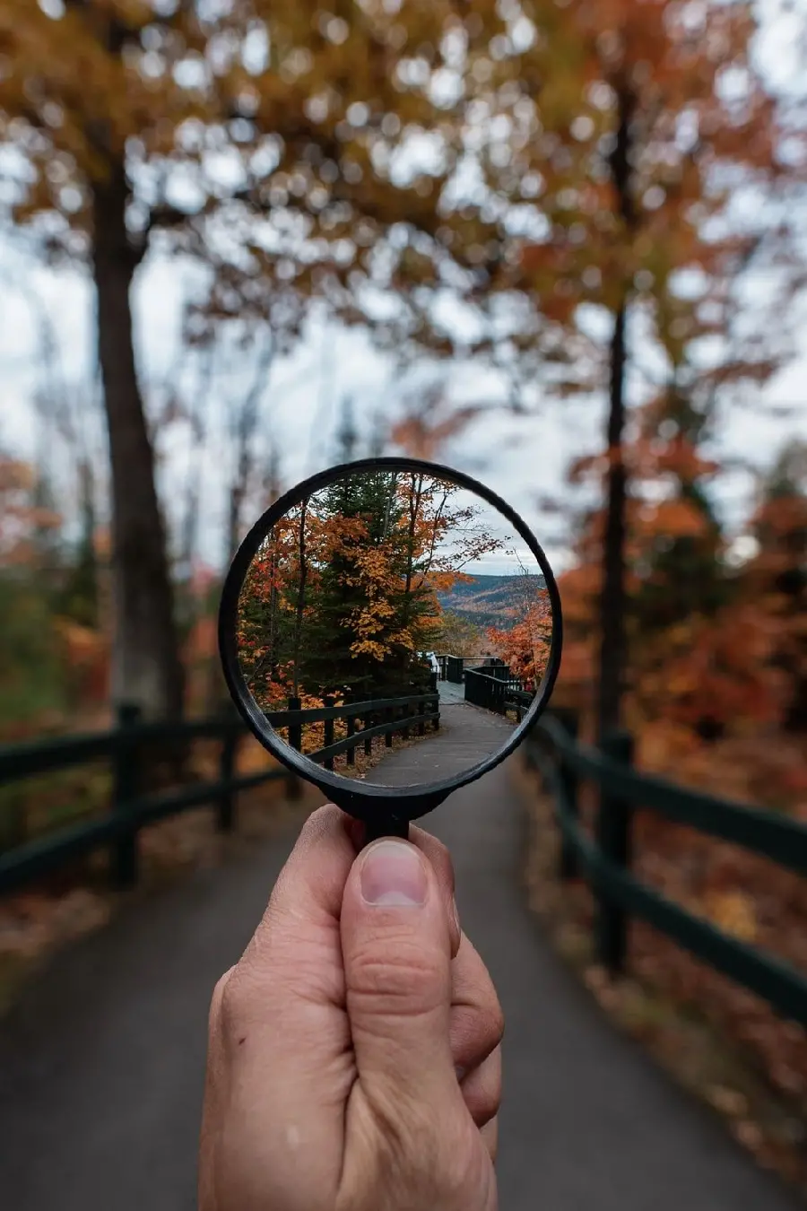  Unique and beautiful image of a magnifying glass facing the road with excellent quality 