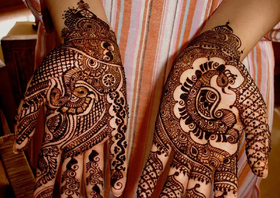 Beautiful and new model photo of henna design on the hand with a complex woven pattern for ideas