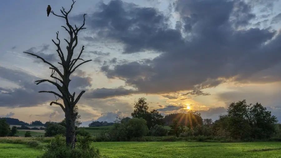 Interesting and amazing picture of dreamy nature with high quality 