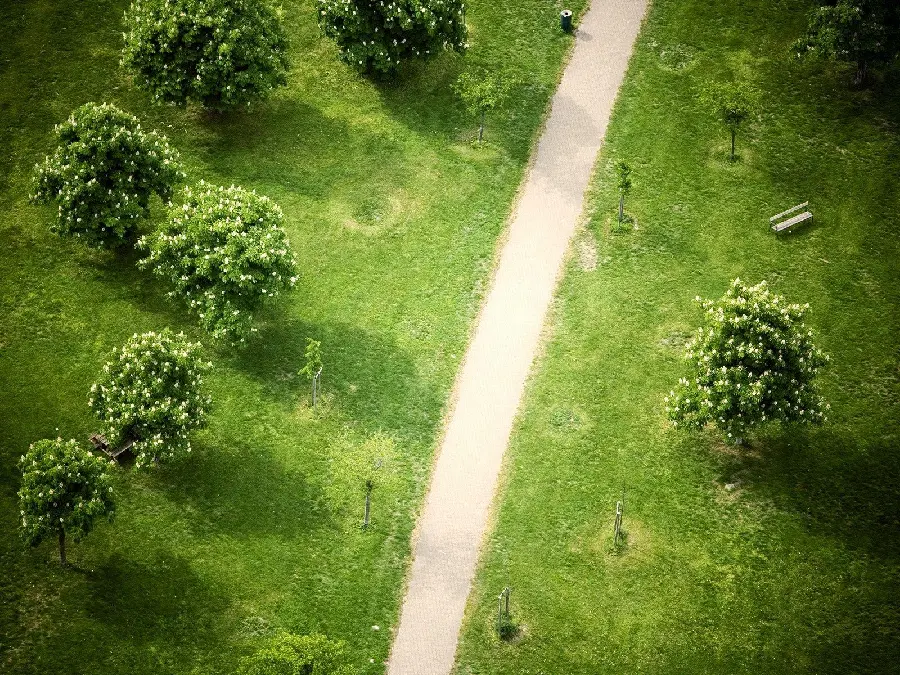 Photo of a miniature park from the top view full HD 