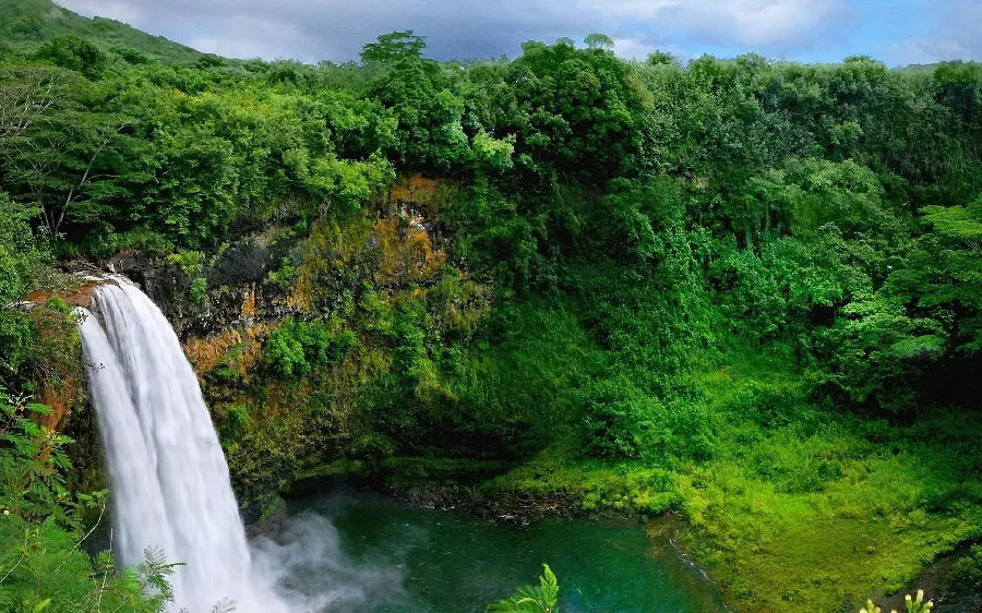 The most popular relaxing background of green and spectacular nature