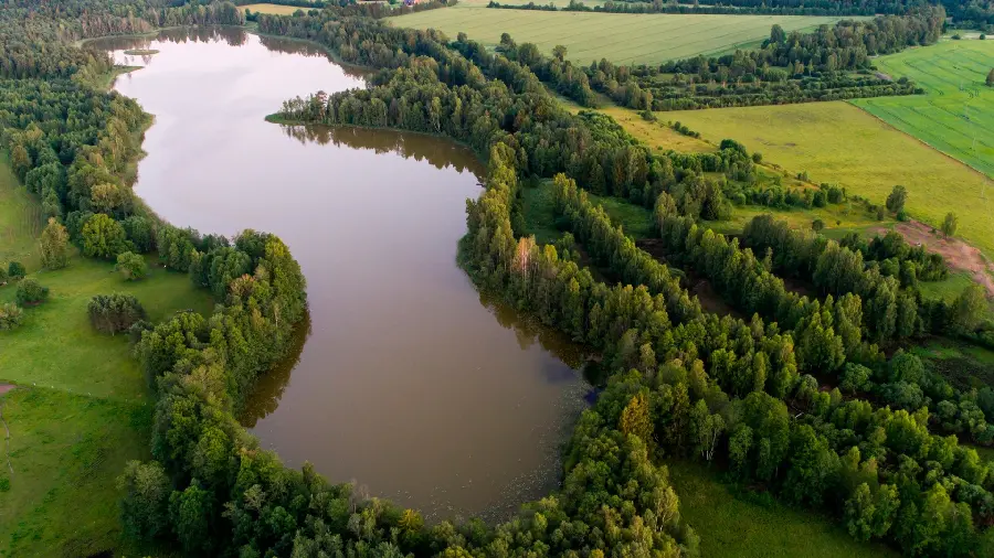 Stock image with fresh vegetation around the water in HD quality