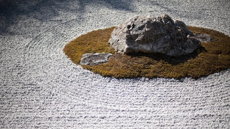 Interesting and spectacular profile of a Zen garden using natural elements of moss, sand and stones