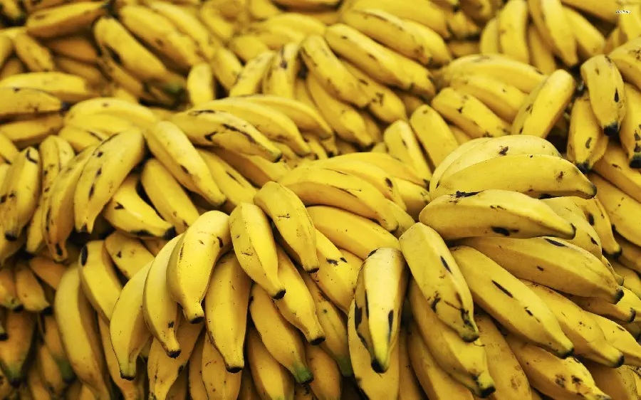 Yellow Banana Fruit Wallpaper with Properties and Vitamins 4k