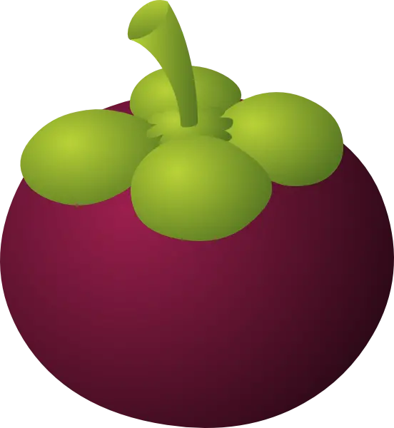 Single image of the fruit of the targil PNG cut out with animation quality 
