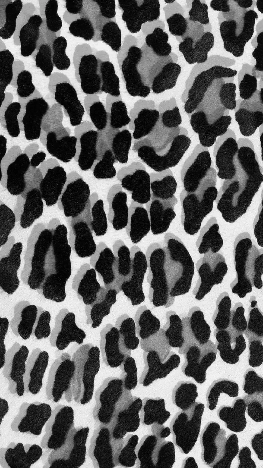 Black and white wallpaper of cheetah leopard in full HD quality