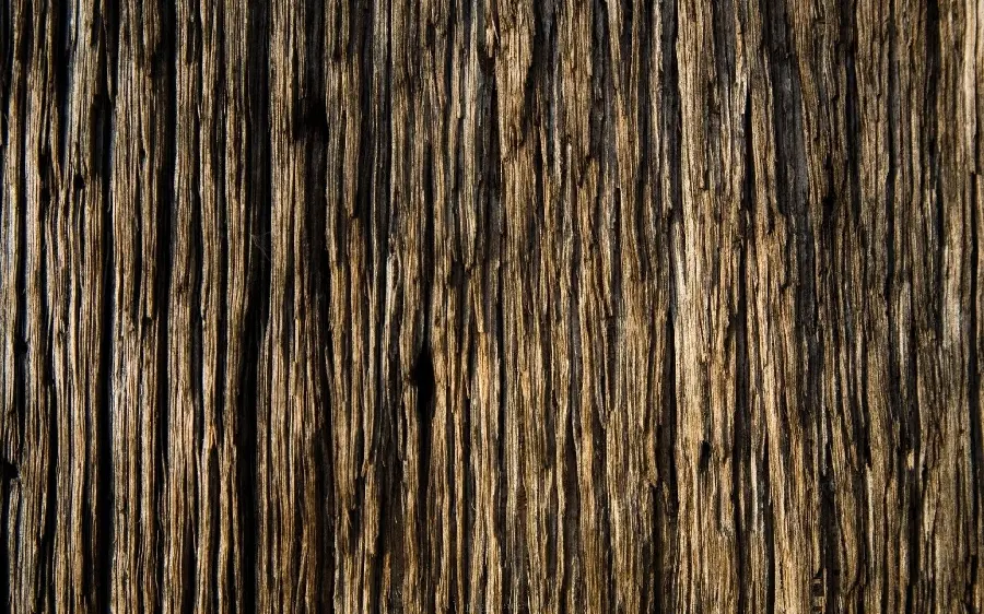 Image of a very beautiful and special 3D wood design texture and pattern 
