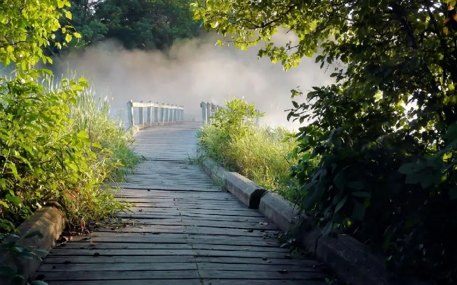High quality background photo of a wooden bridge with fog and a forest
