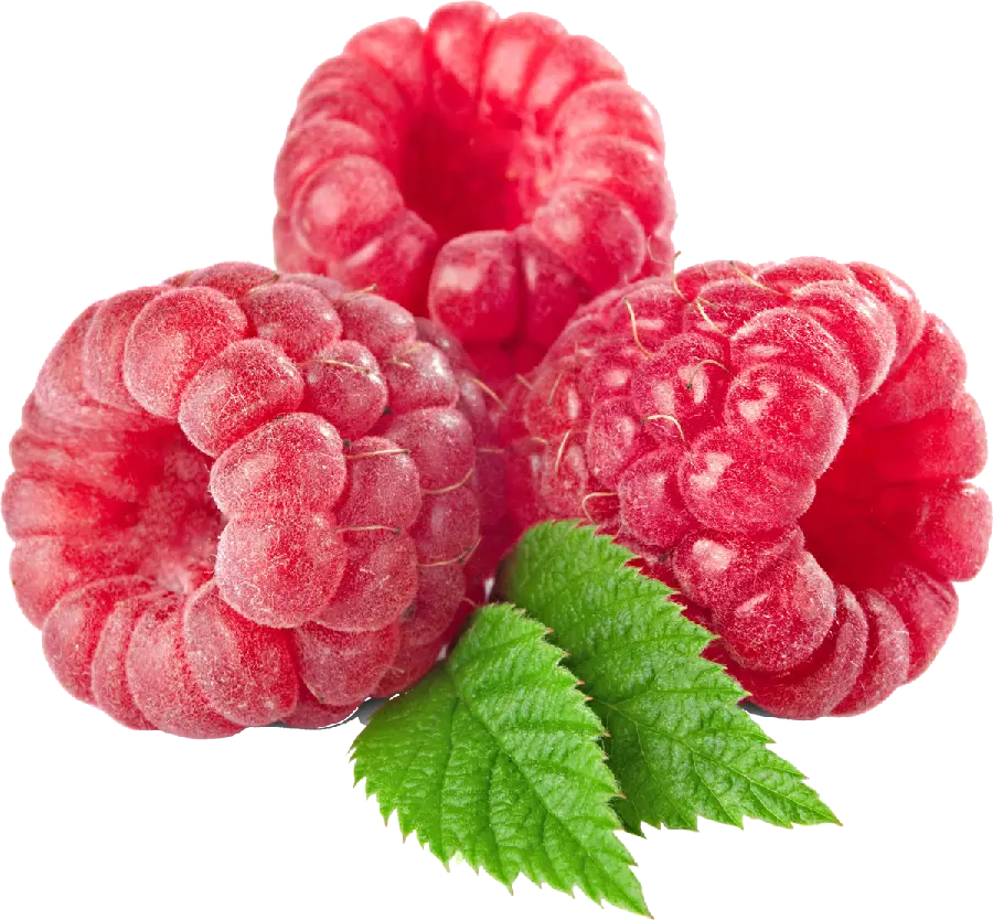Download PNG photo of red raspberry with white background