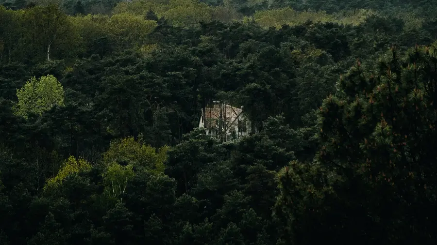 A dreamy background of a forest house on a mountain full of green trees in 4K quality