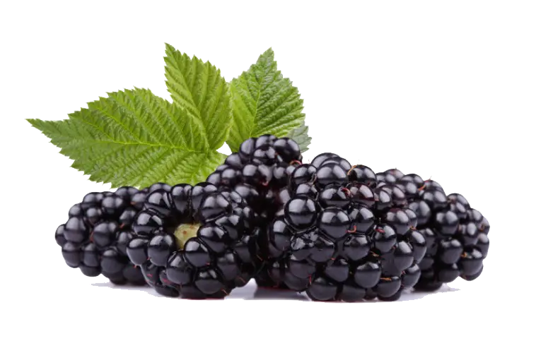 Delicious Black Raspberry Image in PNG Format 