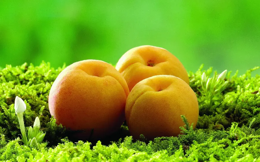 Fantasy and tempting photo of apricots