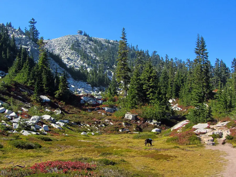 Download a dreamy and beautiful photo of amazing and pristine nature