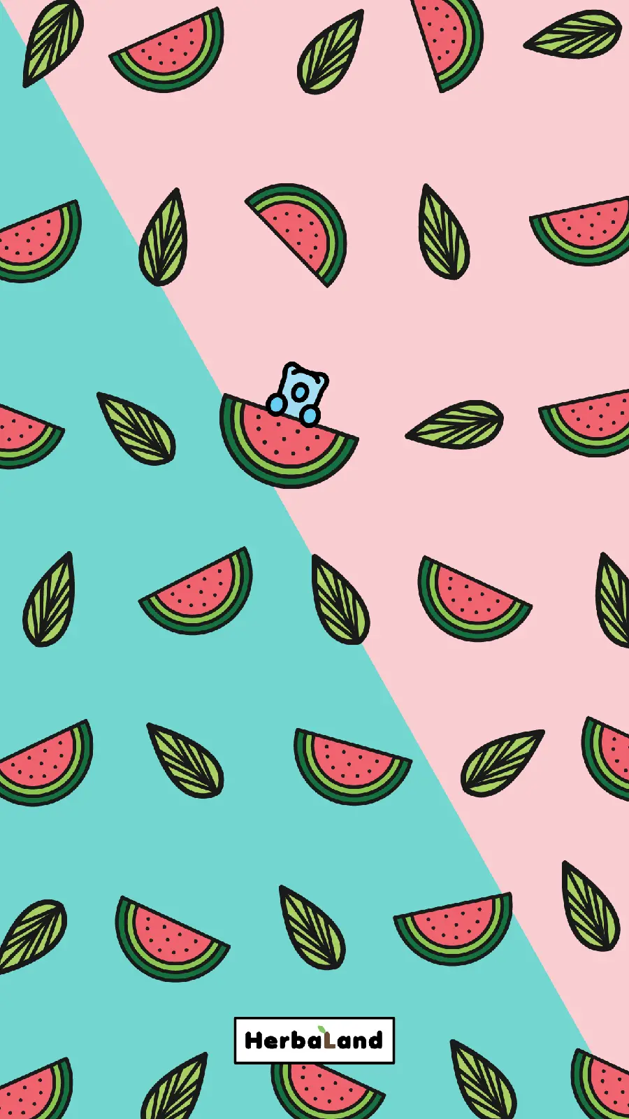 Unique and special photo of beautiful watermelons with excellent quality 