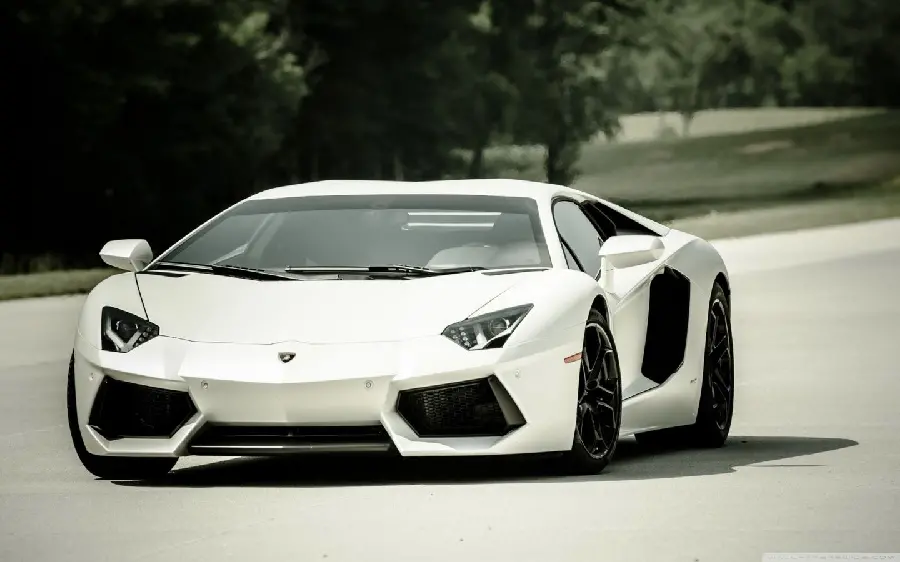 White Lamborghini Wallpaper Moving on the Street